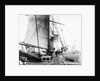 'Germanic deck' 1874 by Unknown