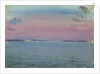 Seascape from the 'Birkdale' by John Everett