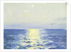 Seascape from the 'Birkdale' by John Everett
