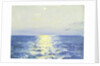 Seascape from the 'Birkdale' by John Everett