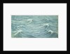 Seascape from the 'Penaglis M. Hadoulis' by John Everett