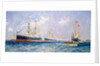 Queen Victoria's diamond jubilee review at Spithead, 26 June 1897 by Charles Dixon