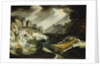 The wreck of the 'Amsterdam' by Cornelis Claesz van Wieringen