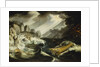 The wreck of the 'Amsterdam' by Cornelis Claesz van Wieringen