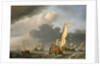 A states yacht in a fresh breeze running towards a group of Dutch ships by Willem Van de Velde the Younger