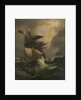 An American ship in distress by C. John M. Whichelo