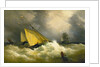 First come, first served. A pilot cutter racing to a ship by Richard Brydges Beechey