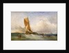 A swim-headed barge by James Webb