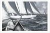 A yacht luffing by Charles M Padday