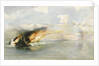 Capital ships bombard Salerno by Richard Ernst Eurich