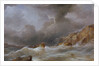 Wreck of a ship off a rocky coast by Samuel Walters