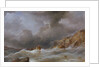 Wreck of a ship off a rocky coast by Samuel Walters