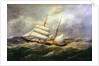 The brigantine 'L'Avennire' by Edmond Adam