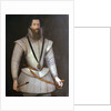 Robert Devereux, 2nd Earl of Essex (1567-1601) by Marcus Gheeraerts the Younger