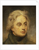 Vice-Admiral Horatio Nelson, 1st Viscount Nelson (1758-1805) by William Beechey