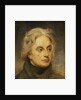 Vice-Admiral Horatio Nelson, 1st Viscount Nelson (1758-1805) by William Beechey