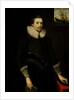Portrait of a naval officer aged 24, 1619 by British School
