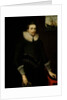 Portrait of a naval officer aged 24, 1619 by British School