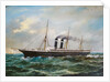 The steamship 'City of New York' (1888) by H. McKlown