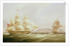 The ships 'Vigilant' and 'Harpooner' offshore by William John Huggins