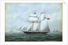 The schooner 'Little Beauty' by W. Pearn