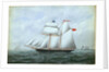 The schooner 'Little Beauty' by W. Pearn