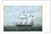 The schooner 'Little Beauty' by W. Pearn