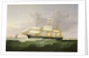 The ship 'Palestine' by Samuel Walters