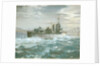 HMS Woolston (1918) in a heavy sea by Charles E Turner