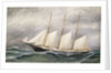 The schooner 'Robert Ingle Carter' by Solon Francis Montecello Badger