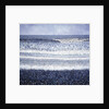 Seascape, Gorleston, Norfolk by Anthony D Amies