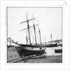 Schooner 'WML' by unknown