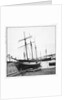 Schooner 'WML' by unknown