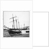 Schooner 'WML' by unknown