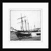 Schooner 'WML' by unknown