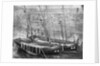 Pilot boats by unknown