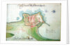 Channel Islands Survey: 'A ground platt from Mount Arguile' by Thomas Phillips