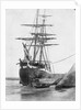 Brig and barque at low tide, Swansea by unknown