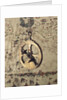 Mariner's astrolabe by unknown