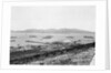China Squadron: Wei-Hei-Wei, dated 1900 by unknown