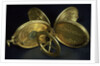 Astronomical compendium, all leaves by Humphrey Cole