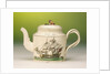 Teapot with lid by unknown