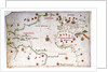 Portulan chart of the Atlantic by Pedro Reinel
