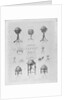 Advertisement by Newton & Son, London, (1841-1883) by unknown