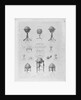 Advertisement by Newton & Son, London, (1841-1883) by unknown