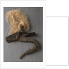 Nelson's pigtail by unknown