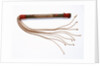 Cat o'nine tails by unknown