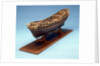 Navy Board skeleton model, port by unknown