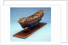 Navy Board skeleton model, port by unknown