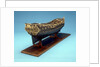 Navy Board skeleton model, starboard stern quarter by unknown